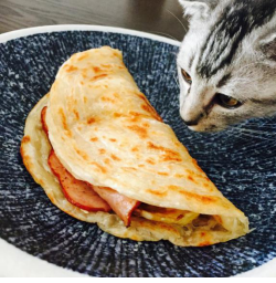 The Origins of Roti Paratha